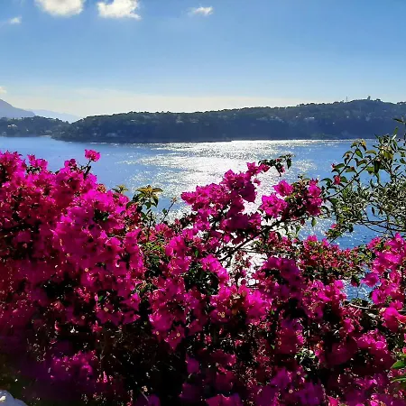 Appartamento Lovely Air Conditonned Center Nizza