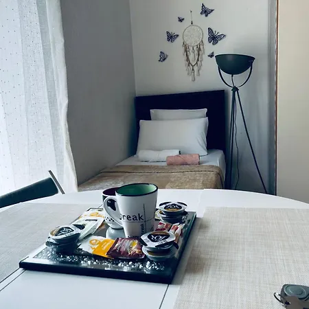 Lovely Air Conditonned Center 尼斯